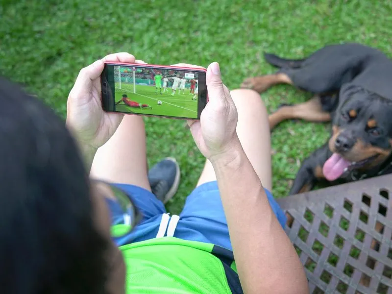 Revenda IPTV Com Suporte